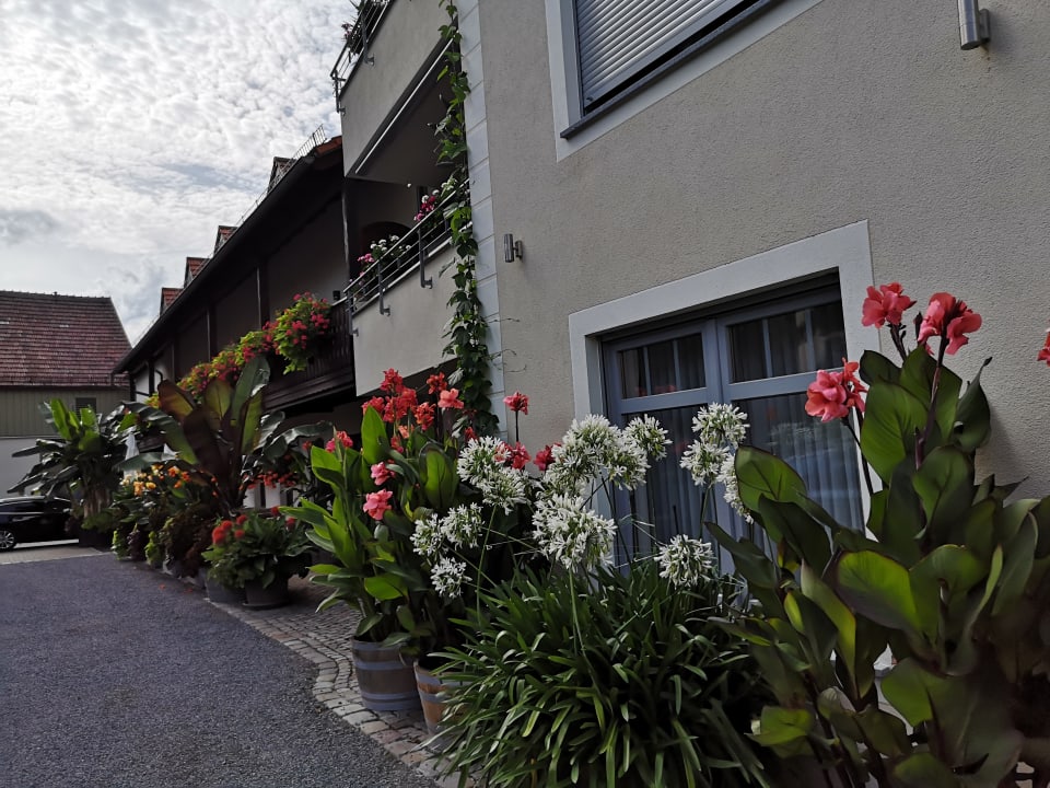 Gartenanlage Hotel garni Sonnenhof