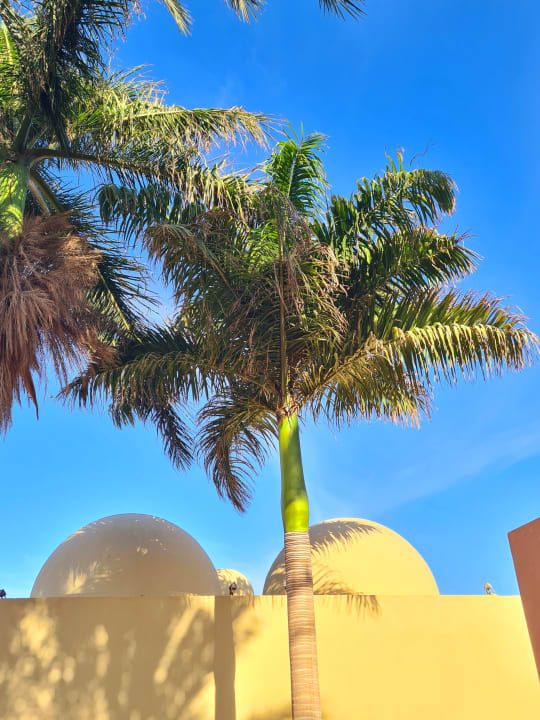 Außenansicht Grand Makadi