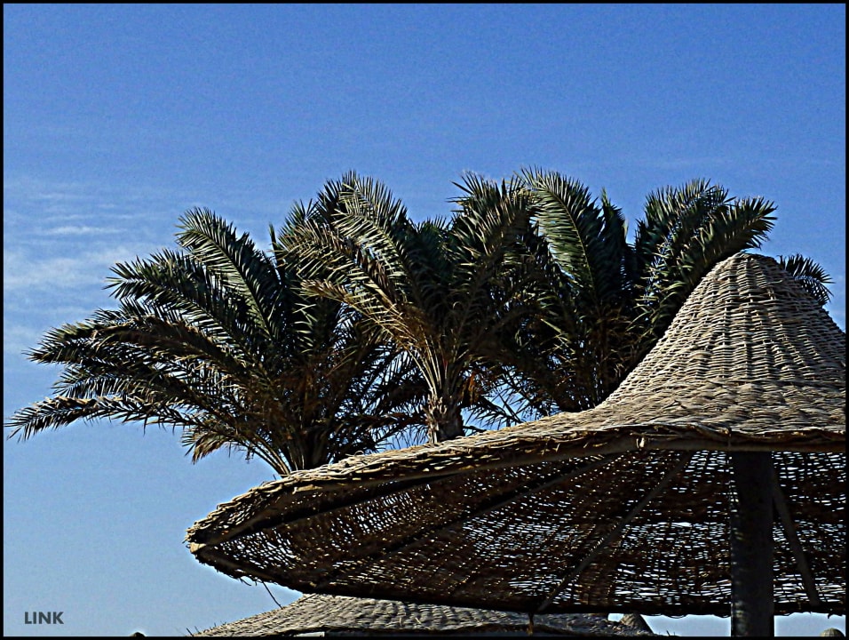 Gut beschirmt Malikia Resort Abu Dabbab