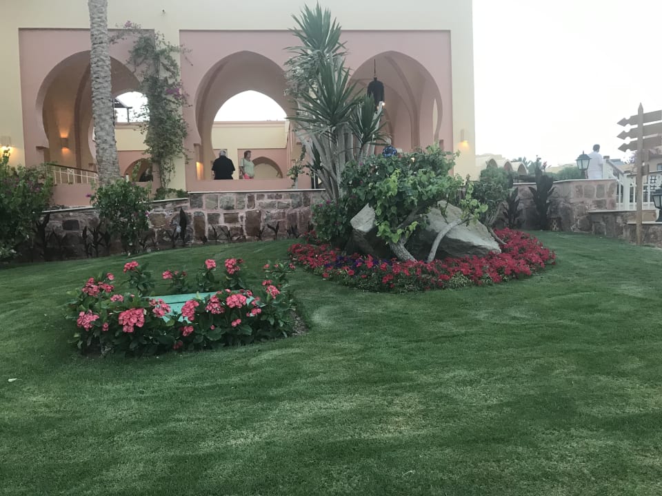 Gartenanlage Steigenberger Coraya Beach - Adults only