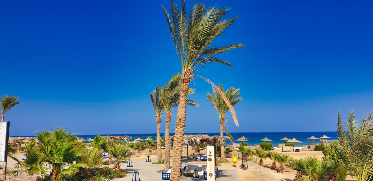 Ausblick Shams Alam Beach Resort
