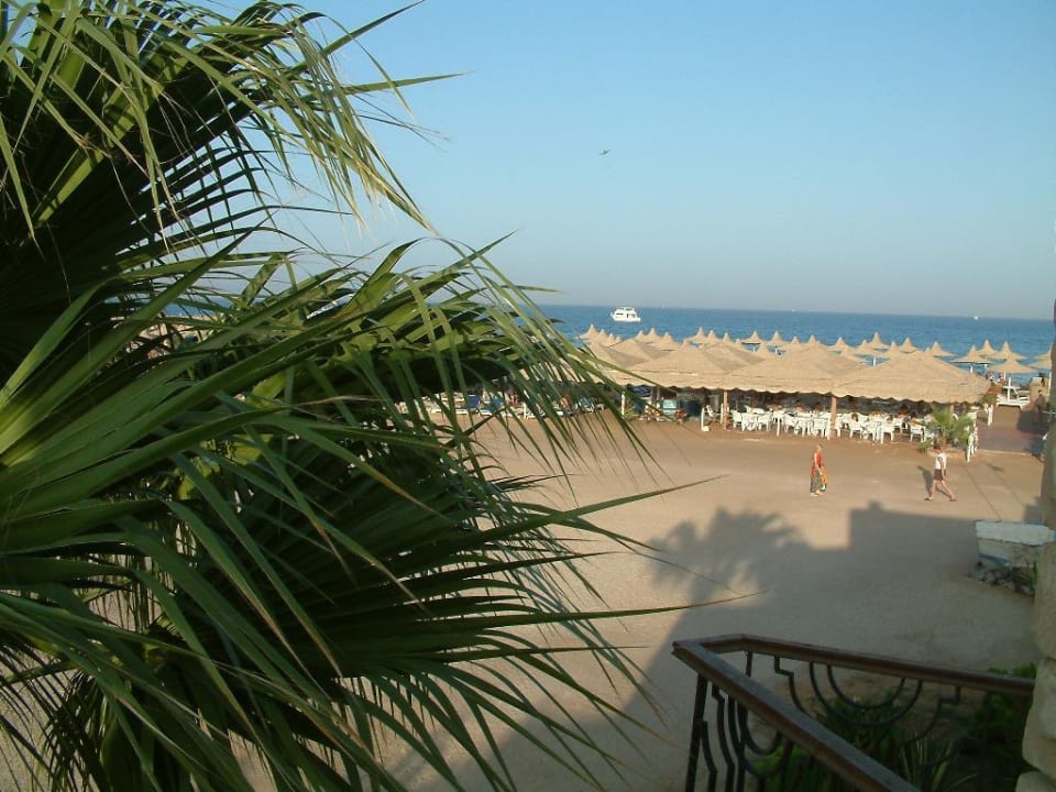Strand von unserem Zimmer aus Aladdin Beach Resort