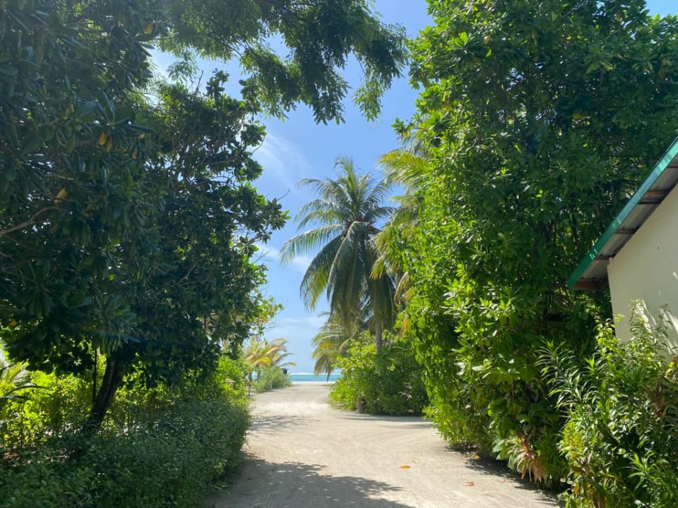 Strand Meeru Maldives Resort Island