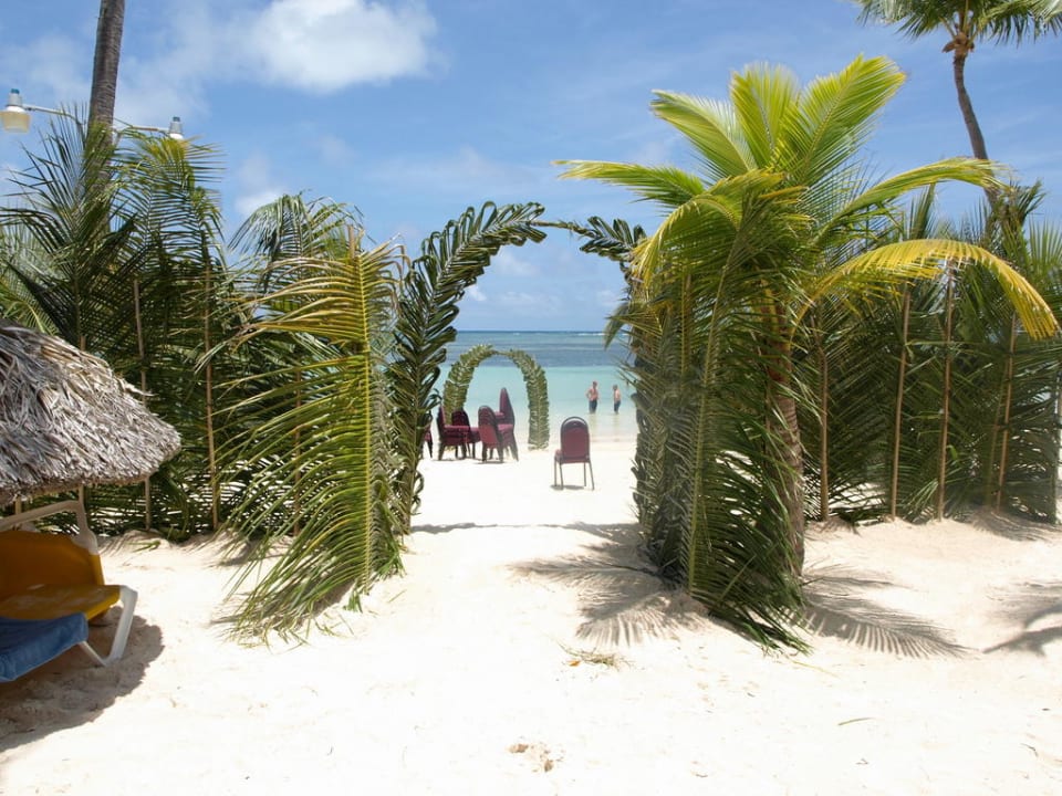 Palmenabsteckung für eine Hochzeit am Strand Catalonia Punta Cana - All Inclusive