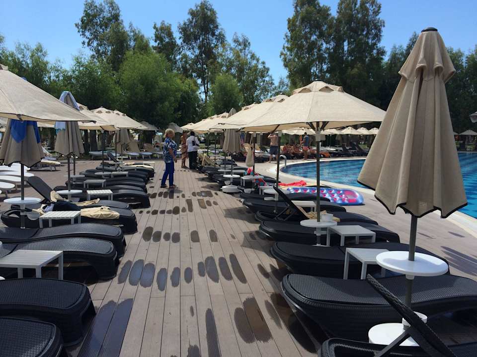 Jede Menge Liegen Asteria Venus Didim