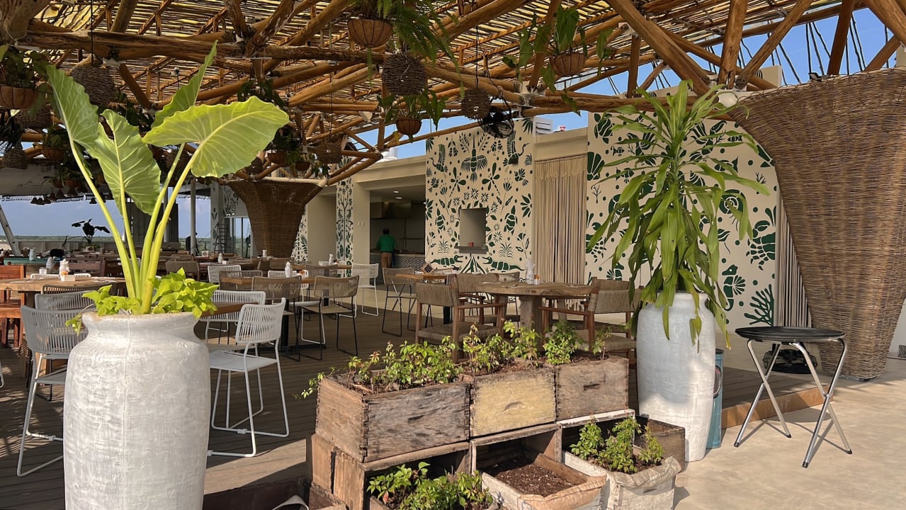 Gastro Siente Tulum