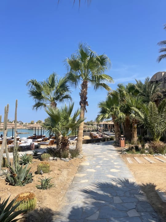 Pool Cook's Club El Gouna