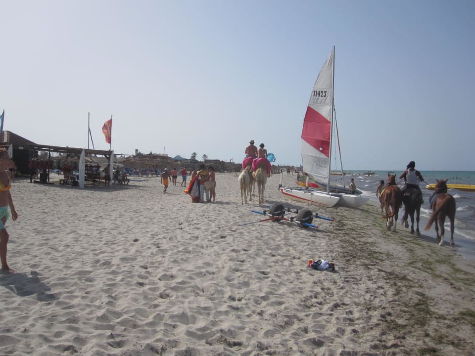 Hotelstrand TUI MAGIC LIFE Penelope Beach