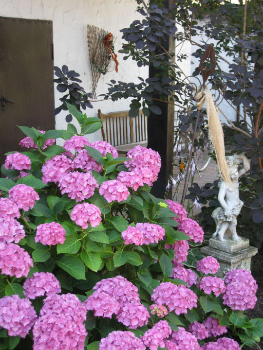 Sehr liebevoll gepflegt und angelegt Hotel Gutshof Ziegelhütte