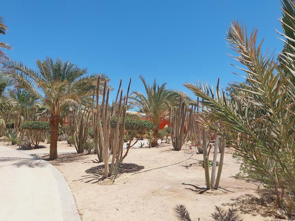Strand Sheraton Miramar Resort El Gouna