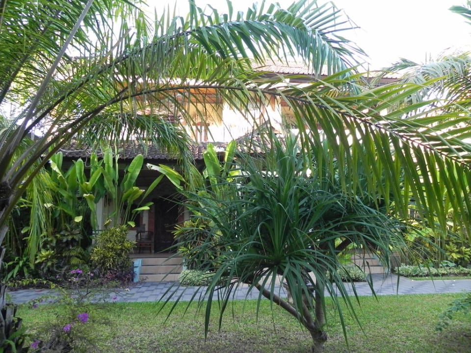 Gartenanlage in der die Zimmer eingebettet sind Villa Shanti Beach