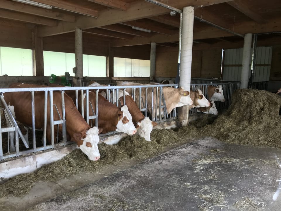 Sonstiges Ferienwohnung Hoderhof