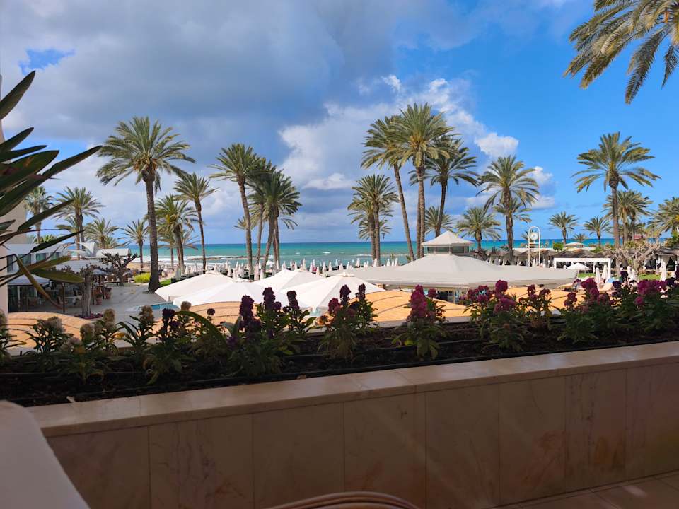 Gastro TUI BLUE Pioneer Beach