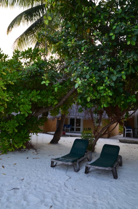 Zimmer Kuredu Island Resort & Spa