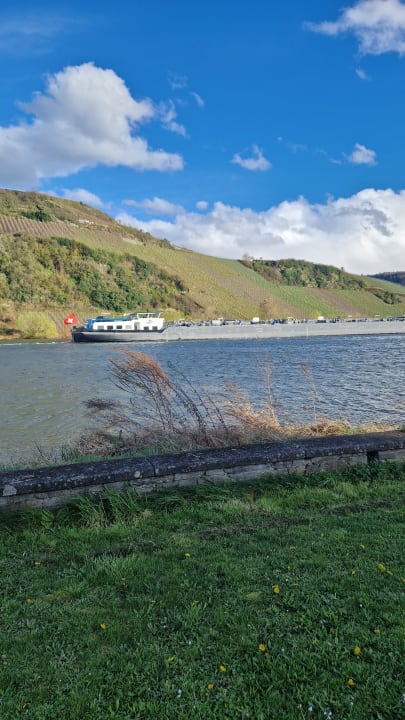 Ausblick Gasthaus Moselloreley