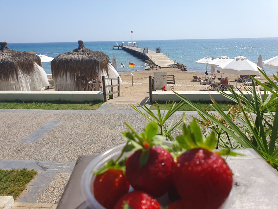 Strand PALOMA Perissia