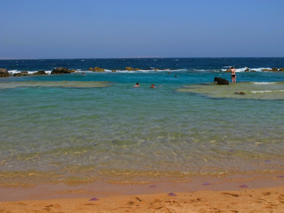 Цитадель азур Pickalbatros Citadel Resort