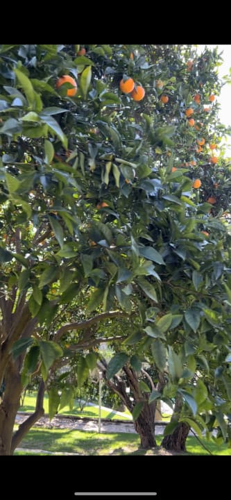 Gartenanlage Barut Hemera