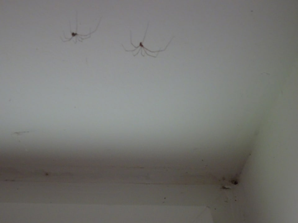 Zimmer Villasanta De Luxe Apartments