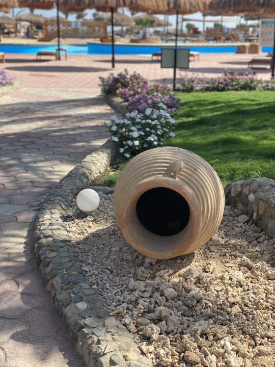 Gartenanlage Three Corners Sea Beach Resort