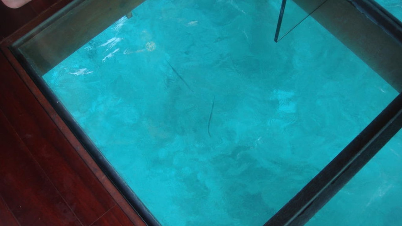 Glasboden im Wasserbungalow ROBINSON MALDIVES