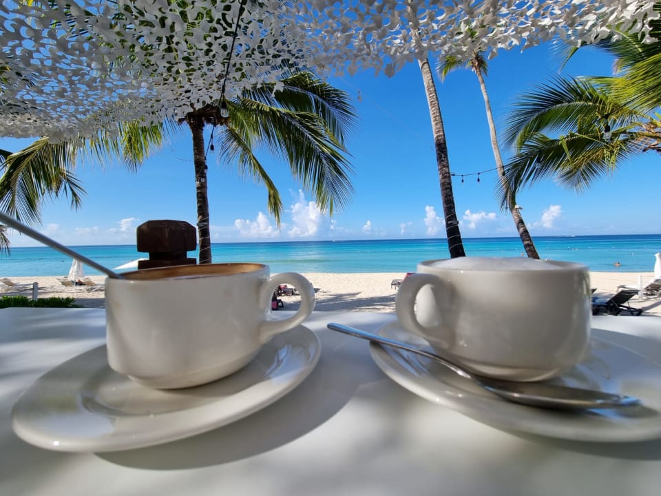 Gastro Catalonia Royal La Romana - Adults only