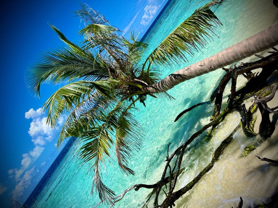 Strand Embudu Village
