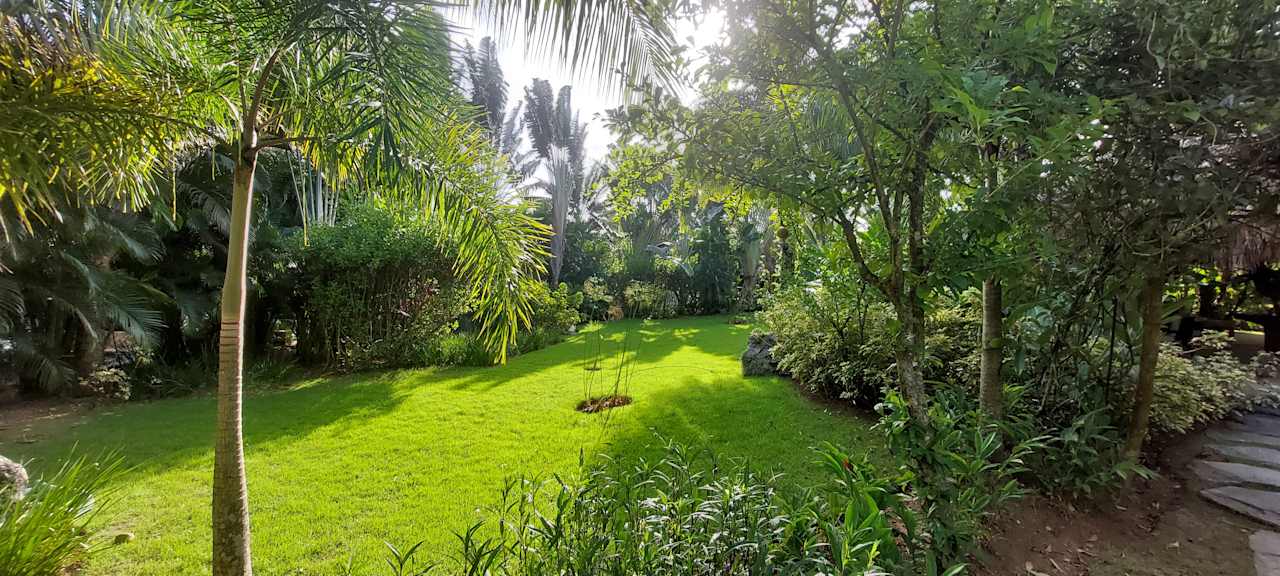 Gartenanlage Viva V Samana by Wyndham – Adults Only