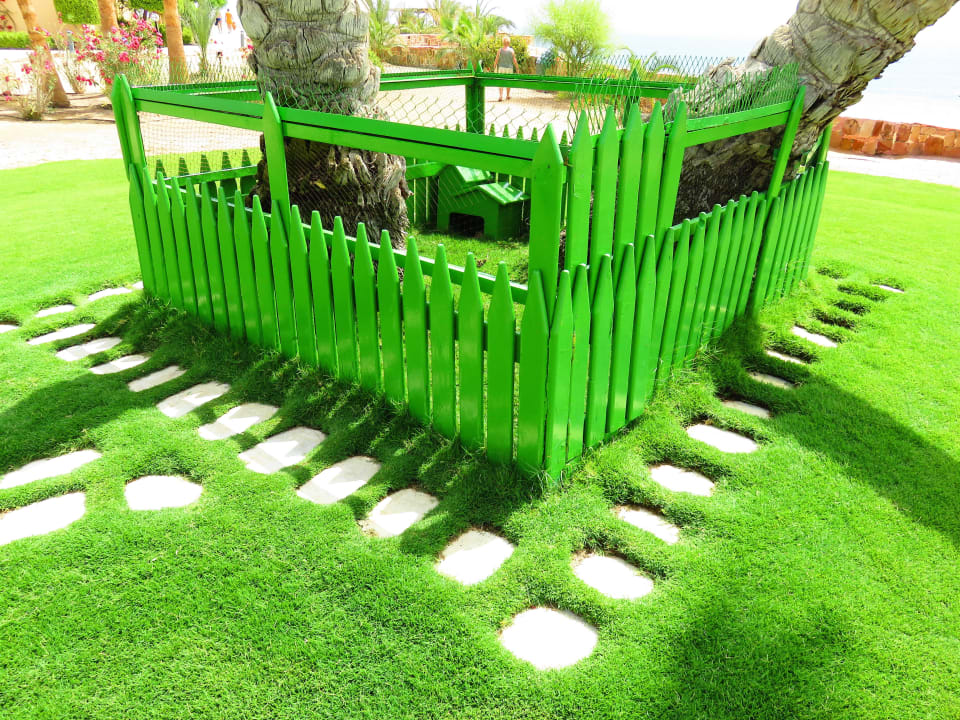 Ein putziges Schildkrötengehege Steigenberger Coraya Beach - Adults only