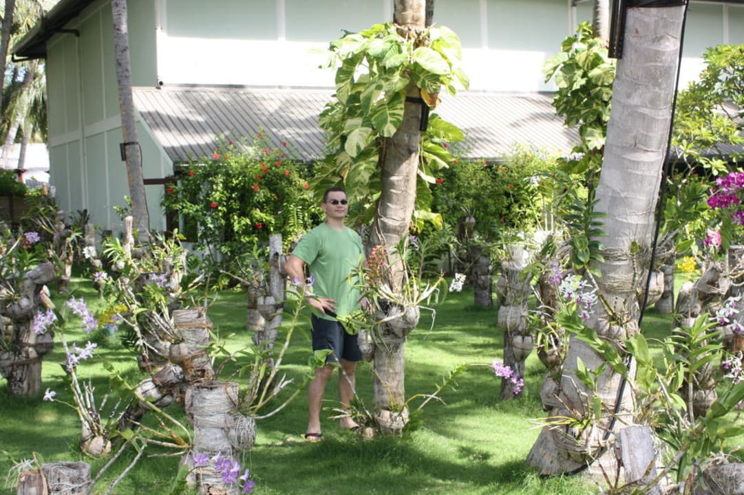 Eine Blumen bracht Villa Park Sun Island