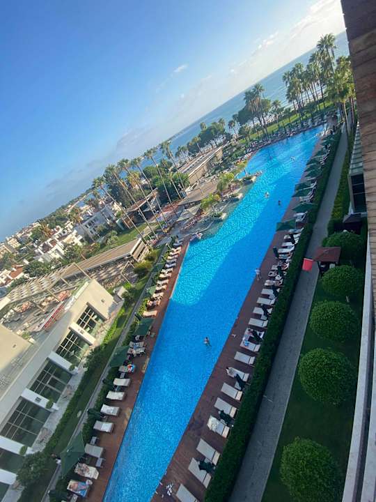 Pool Acanthus Cennet Barut Collection