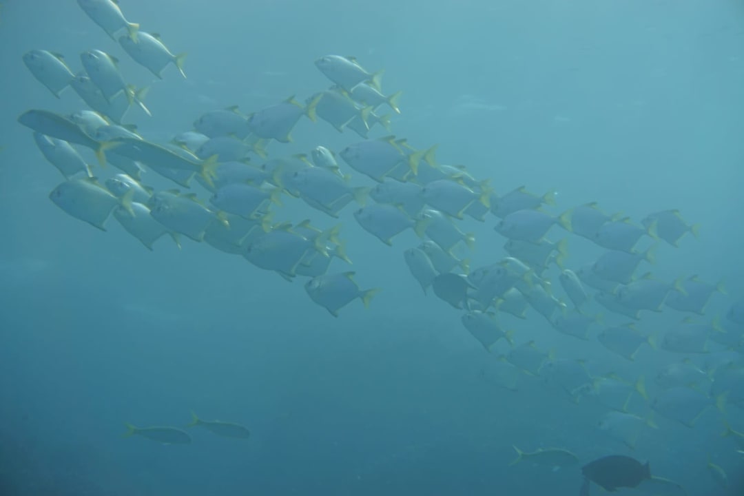 Sonstiges Brayka Bay Resort