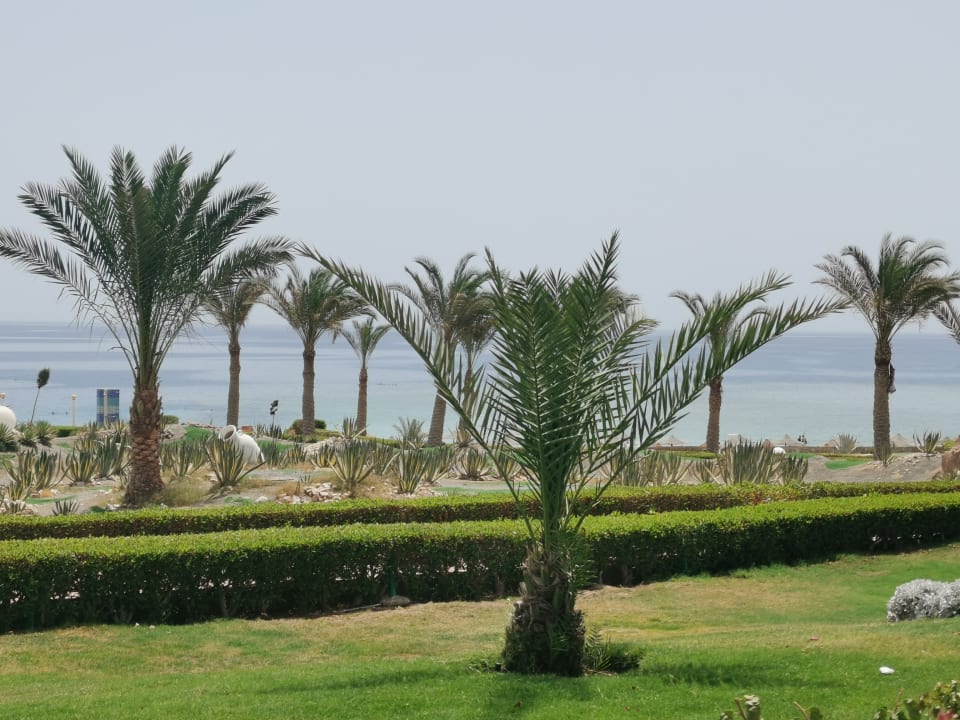 Ausblick Fantazia Resort Marsa Alam