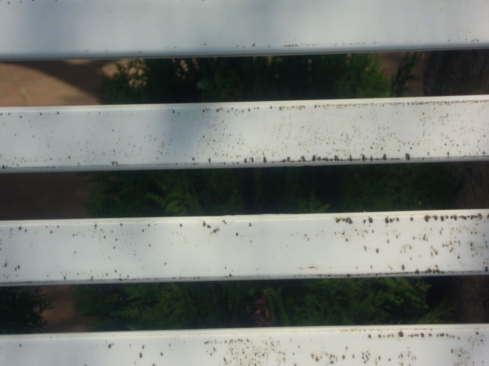 ...teilweise von Schimmel überzogen Sentido Bellevue Beach