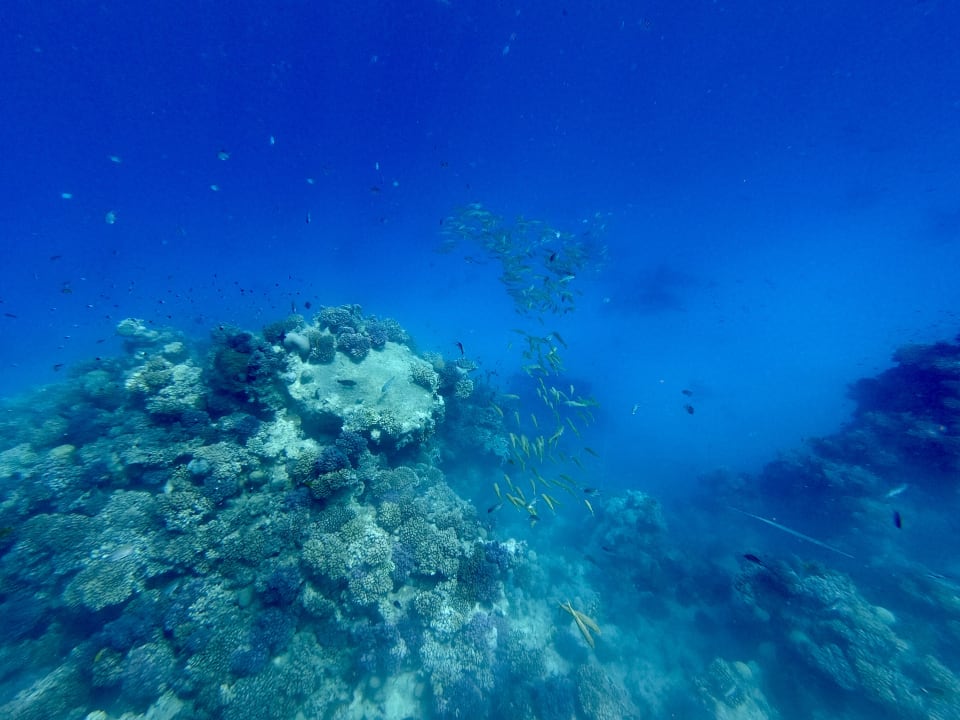 Strand Pickalbatros Citadel Resort