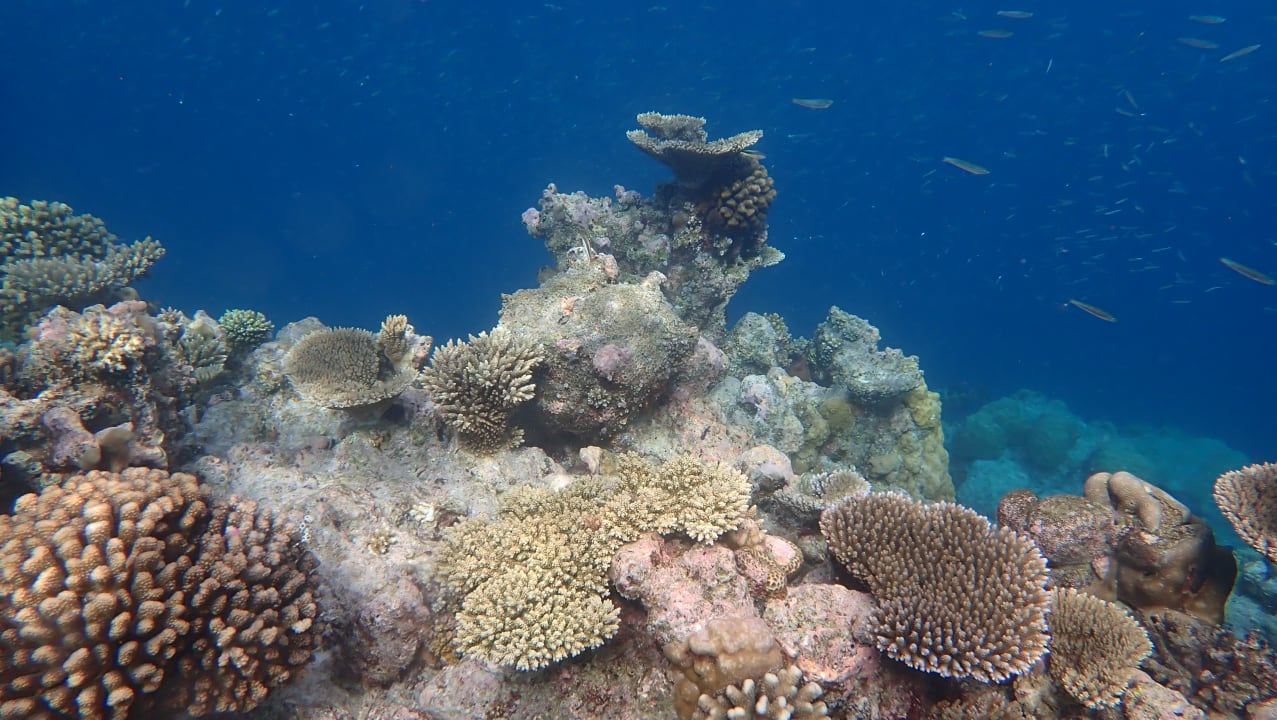 Sport & Freizeit NH Collection Maldives Havodda Resort