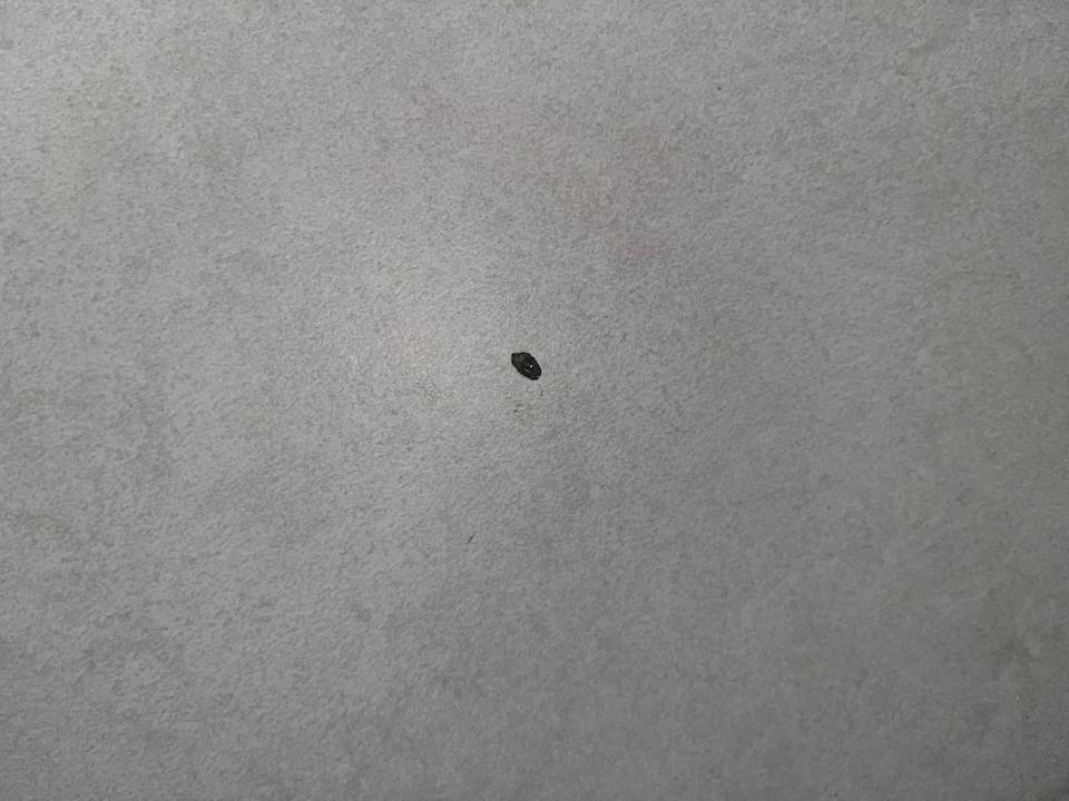 Sonstiges Mira Meridia Beach Hotel