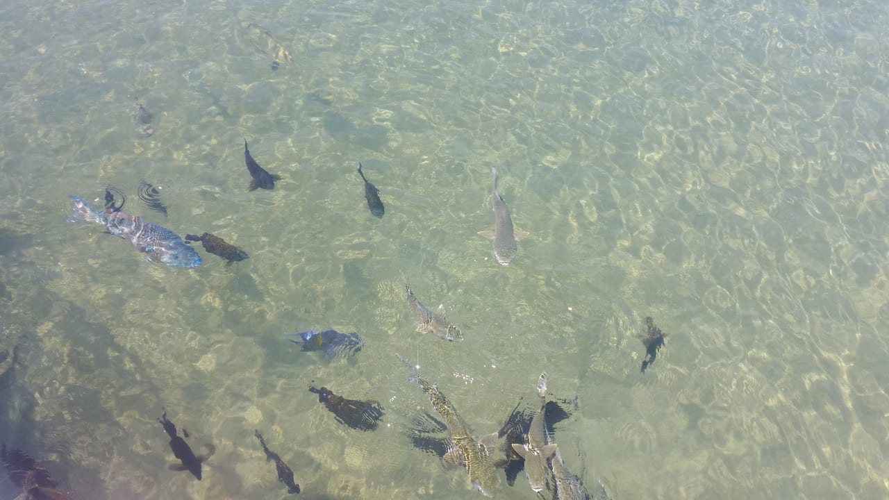Strand Pickalbatros Dana Beach Resort - Hurghada