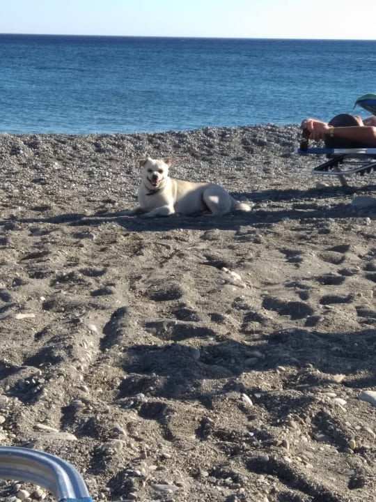 Strand Hotel South Coast