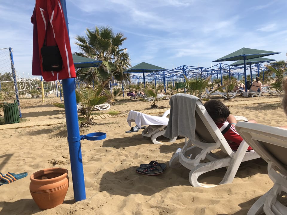 Strand Paloma Oceana