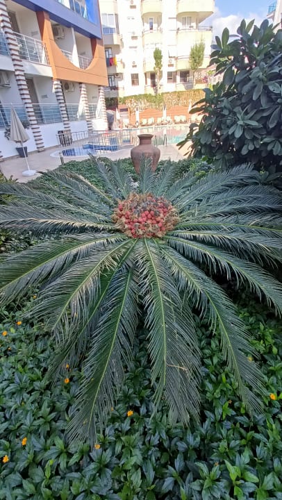 Gartenanlage Gardenia Hotel