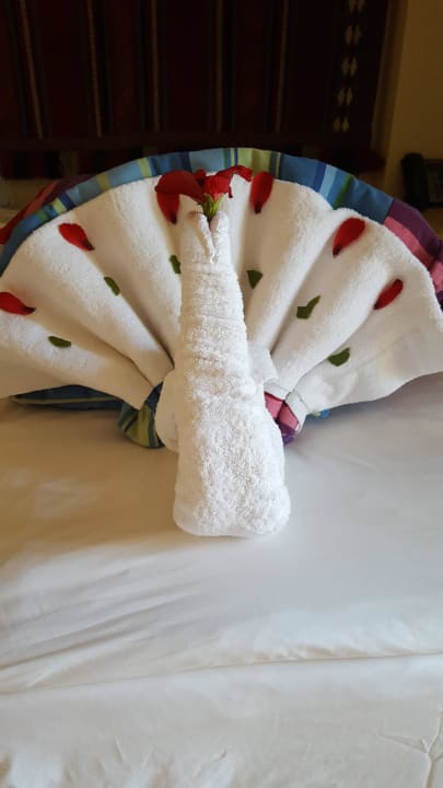 Handtuchkunst  Pickalbatros Sands Hotel - Port Ghalib