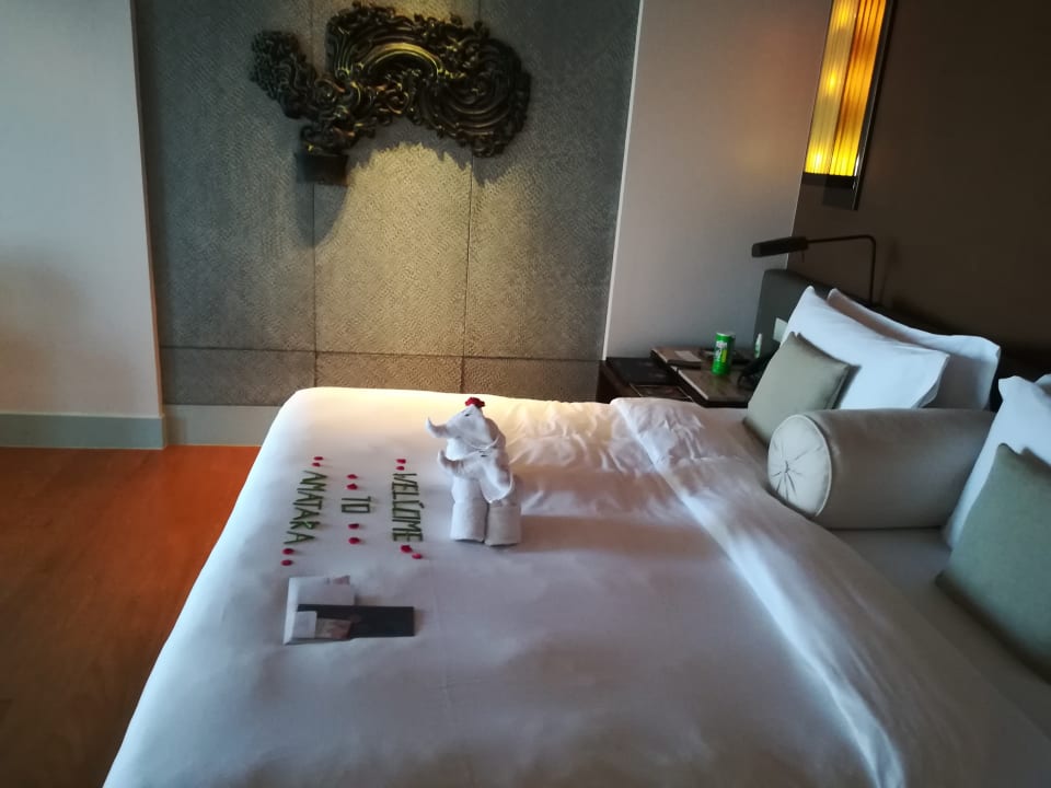 Zimmer Amatara Welleisure Resort