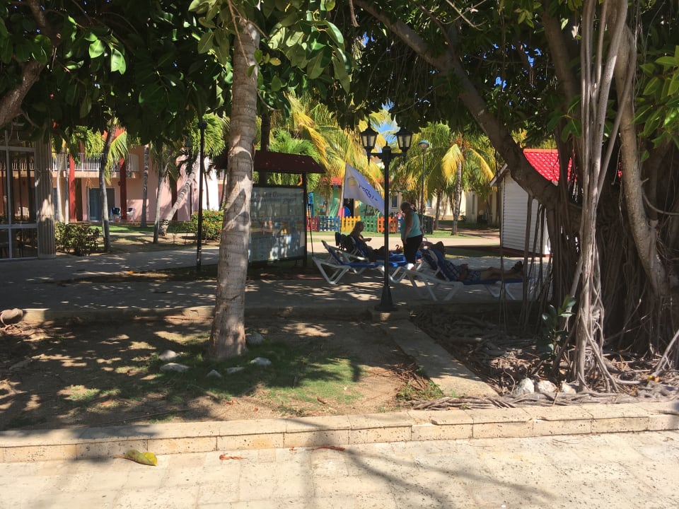 Gartenanlage Sol Hicacos Varadero