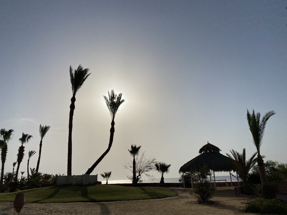 Gartenanlage Steigenberger Coraya Beach - Adults only