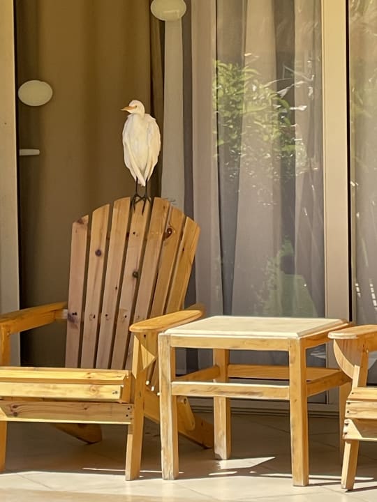 Zimmer Sentido Caribbean World Soma Bay