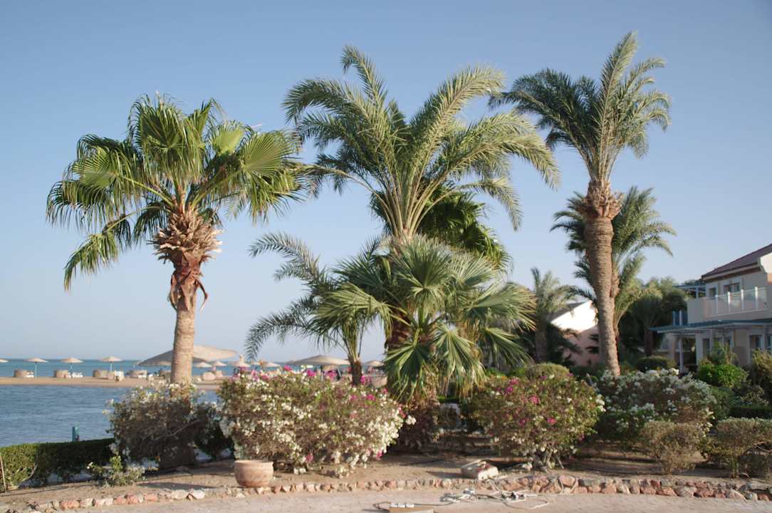 Es war herrlich Mövenpick Resort & Spa El Gouna