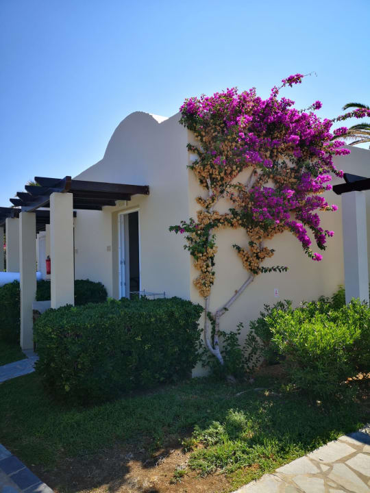 Zimmer Iberostar Waves Creta Panorama & Mare