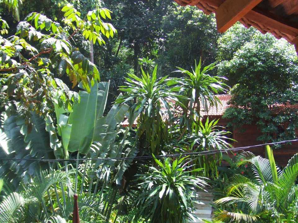 Ausblick D'coconut Island Resort