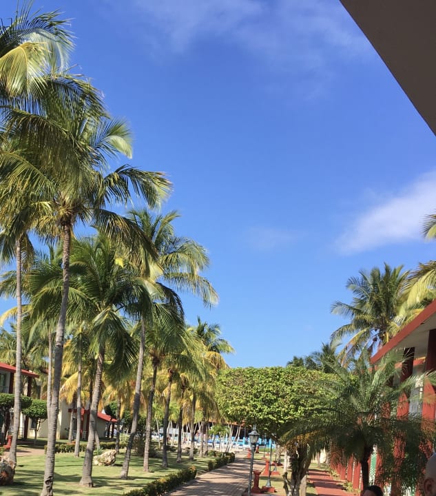 Gartenanlage Sol Hicacos Varadero